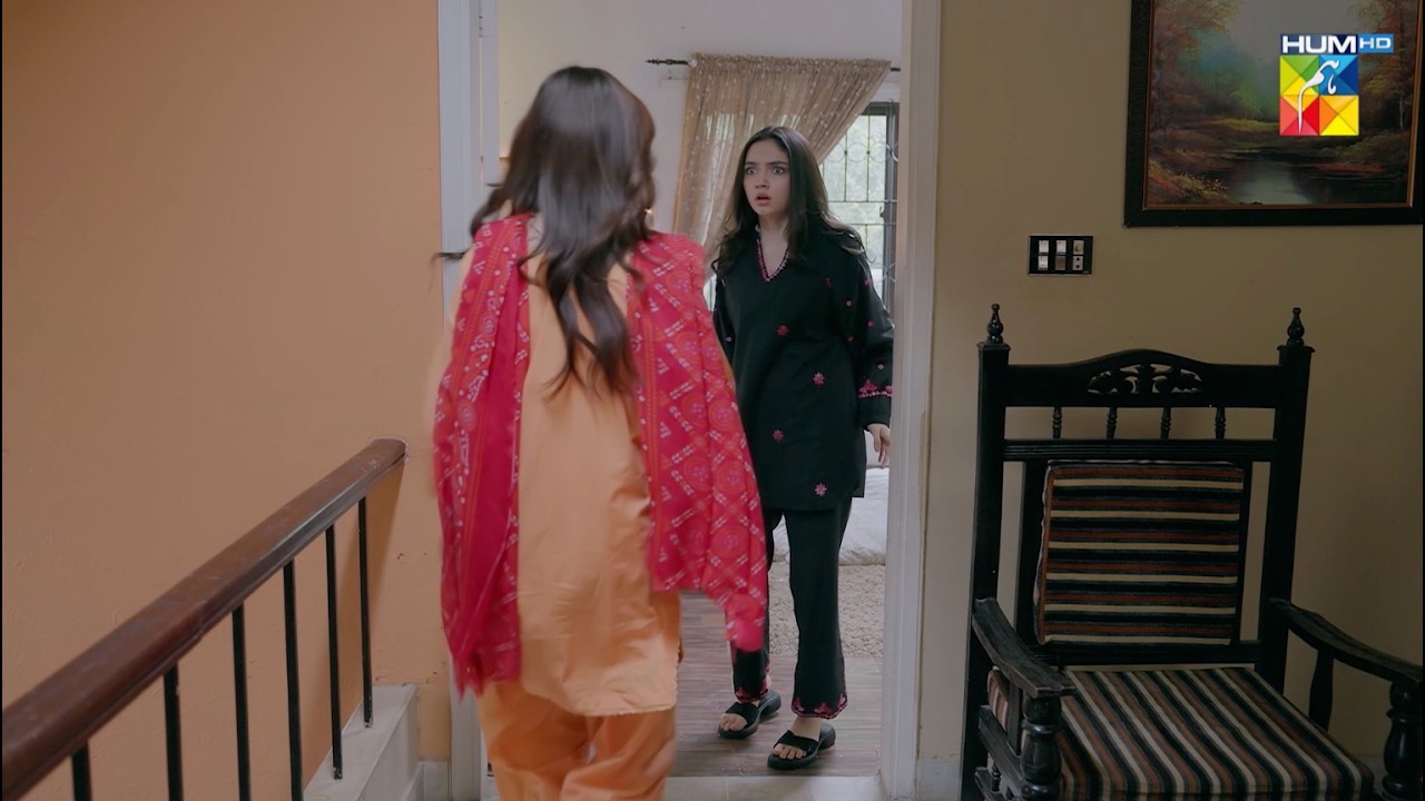 Badrika Chori Ke ilzaam Mein Pakri Gayi...! #ainaasif #alidayan - HUM TV