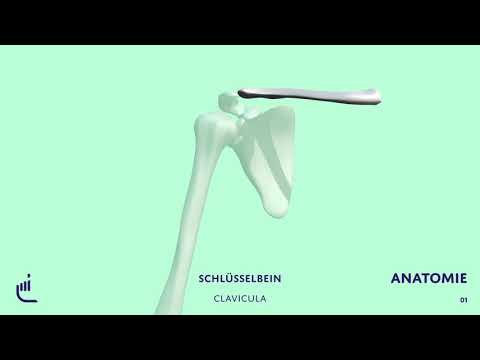 Was ist eine Schleimbeutelentzündung?