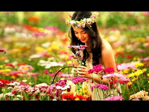 Barbra Streisand & Neil Diamond   "You Don´t Bring Me Flowers" (Legendado)