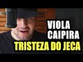 VIOLA CAIPIRA I TRISTEZA DO JECA (Angelino de Oliveira) I WILSON TEIXEIRA