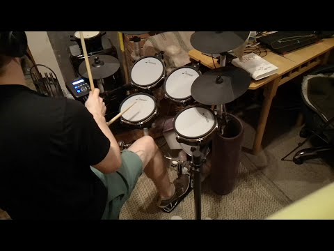 Kriss Michulis - Korn - Got The Life - (drum cover)