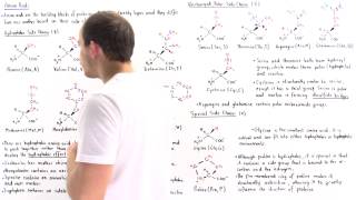 Nonpolar and Uncharged Polar Amino Acids