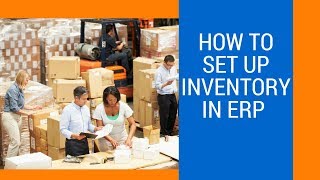 Blue Link ERP video
