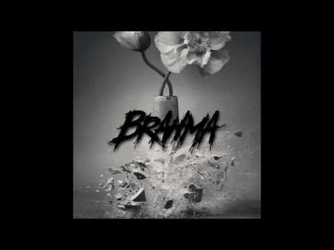 COLIBRI POR MALIBU - BRAH!