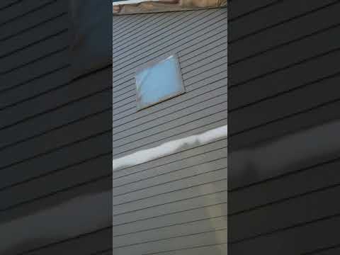 Video #4