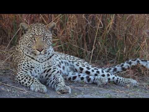 Namibia - The Hidden Animal Paradise in the Caprivi Strip