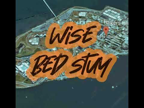 RIKERS ISLAND LEGENDS🏆 - WISE (BED STUY) - PART 2 - REVENGE ON THE POLO GROUNDS 🏇 - C-74- 1989 🩸🤛🏽👊🏽