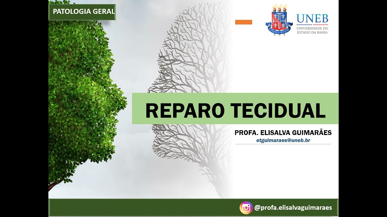 Patologia- Reparo Tecidual (PARTE I)