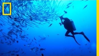 Photographer Revisits Underwater Paradise