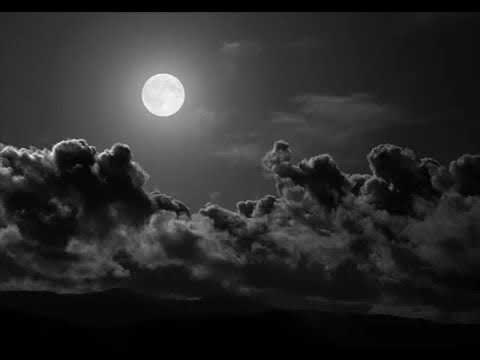 Hans Gunter Wagener   Sommernachtstraum