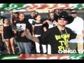 CHINGO BLING   PUT MY SWAG ON REMIX MUSIC VIDEO ME VALE MADRE