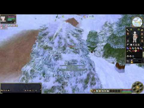 Let´s Play Insanity Flyff E002 - Der Master ruft !