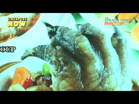 download lagu mp3 mp4 What Does Crocodile Taste Like, download lagu What Does Crocodile Taste Like gratis, unduh video klip What Does Crocodile Taste Like