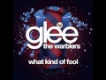 Glee - The Dalton Academy Warblers - What Kind ...