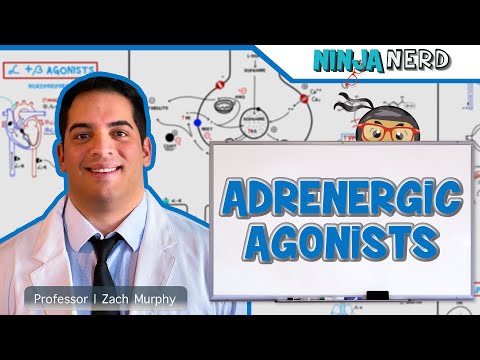 Autonomic Pharmacology | Adrenergic Agonists