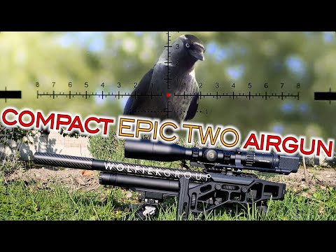 Compact Epic Two Airgun | 300 mm Lothar Walther Polygonal Barrel