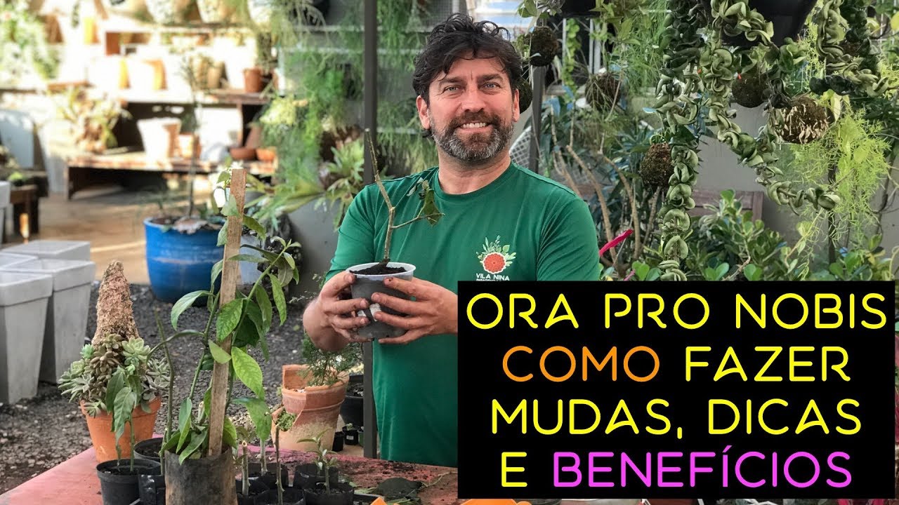 Ora Pro Nobis: Como Fazer Mudas, Dicas e Benefícios