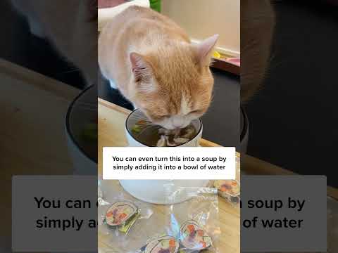 The First Ever Sushi For Cats?? 🙀