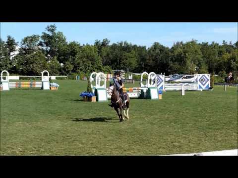 Finders Keepers (Eli) - 0.9m schooling, August 2015 Angelstone Tournaments