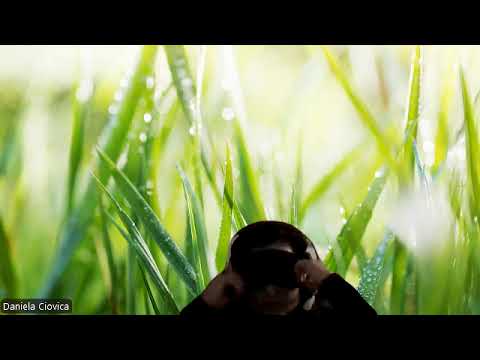 HIPNOZA REGRESIVA.RO362 Liviu decedat, cimitirul astral si transferul de memorie draco/reptiliana