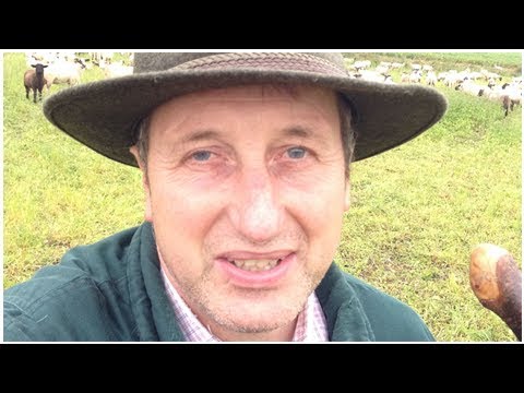 Verwirrung um Beziehungsstatus: Schäfer Heinrich verliebt?