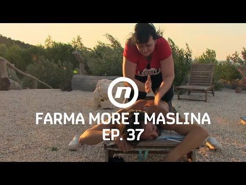 Masaža ili makljaža? - Epizoda 37 | Farma More i Maslina