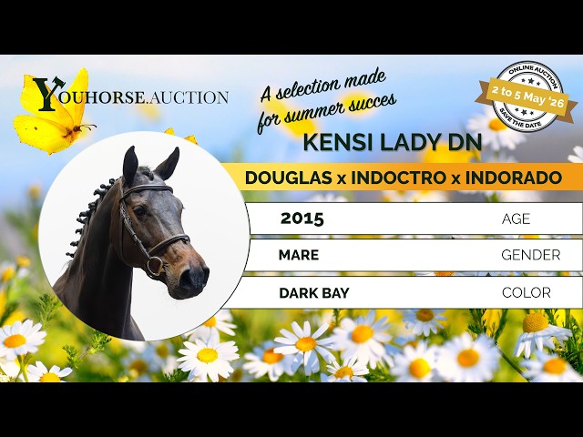Kensi Lady DN
