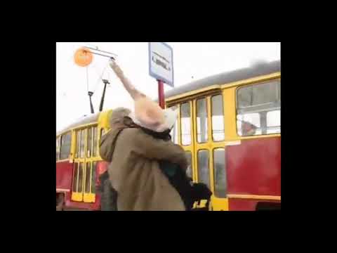 Dziupla Cezara (śmieszny moment) pół świni odc 2