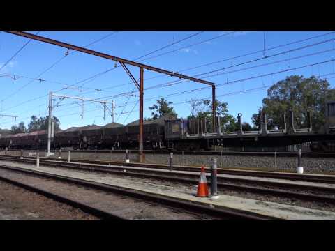 5 Loco's with 6NY3 and Gosford waterfront - 24/4/15