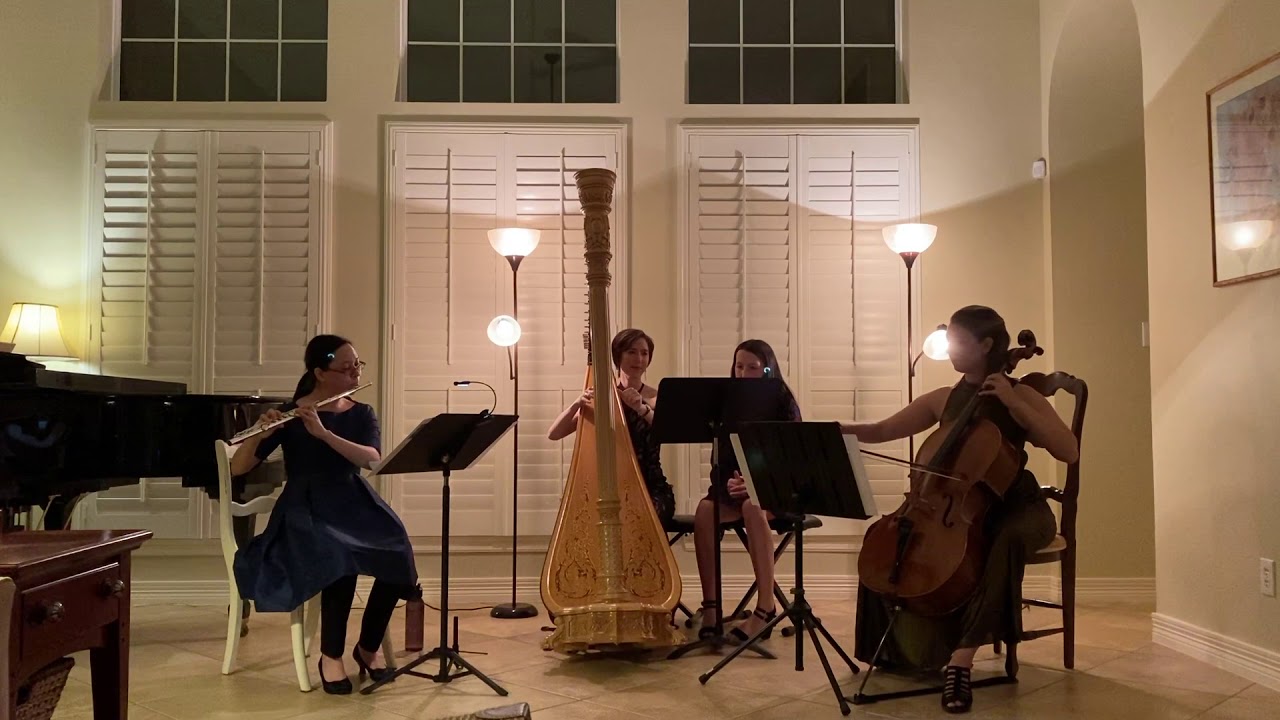 Promotional video thumbnail 5 for Susanna Wang, Harpist