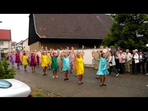 GULDENTALER Schmetterlinge können nicht ...