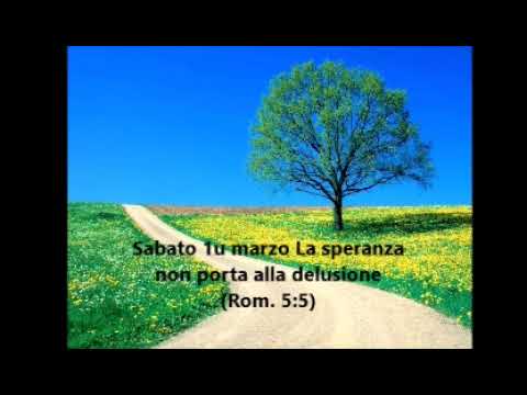 Dio ha promesso: ci sarà un nuovo mondo dove si vivrà per sempre in perfetta salute; diverrà realtà!