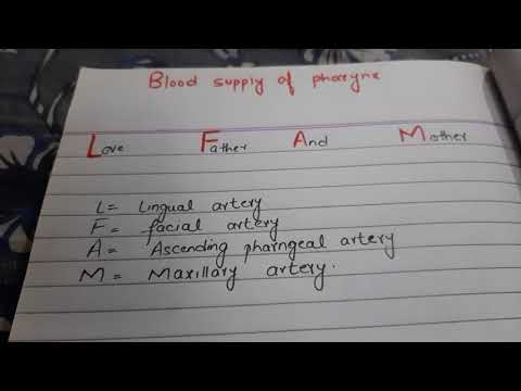 Mnemonic for blood supply of pharynx