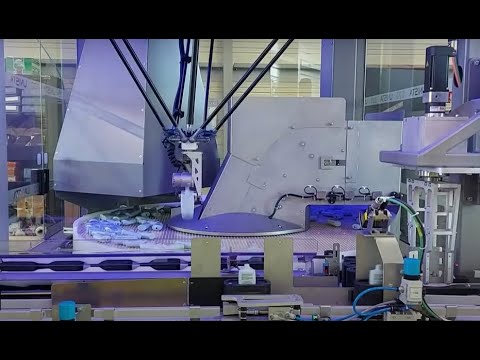 Delta Robot Bottle Unscrambler with 1 robot - Standard unscrambler with bottle orientation