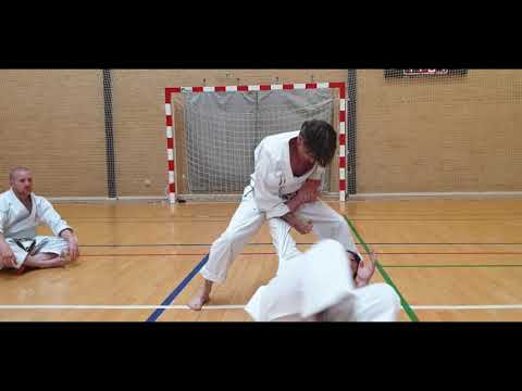 Rick Hotton - Thoughts on Tekki Nidan