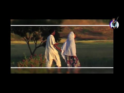 Abeba Haile - Liefay - New Eritrean Music 2024