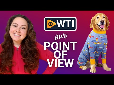 Dog Recovery Suit After Surgery Female Male - WTI product video review