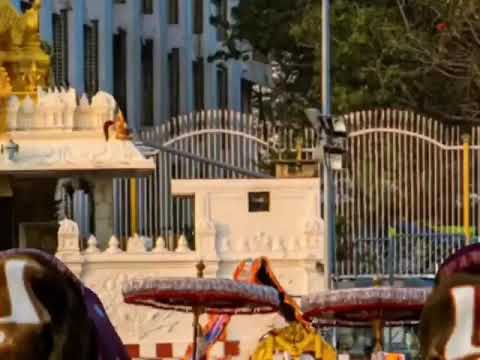 tirumala status for you