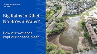 Kihei - February 2026 Big Rains, No Brown Water