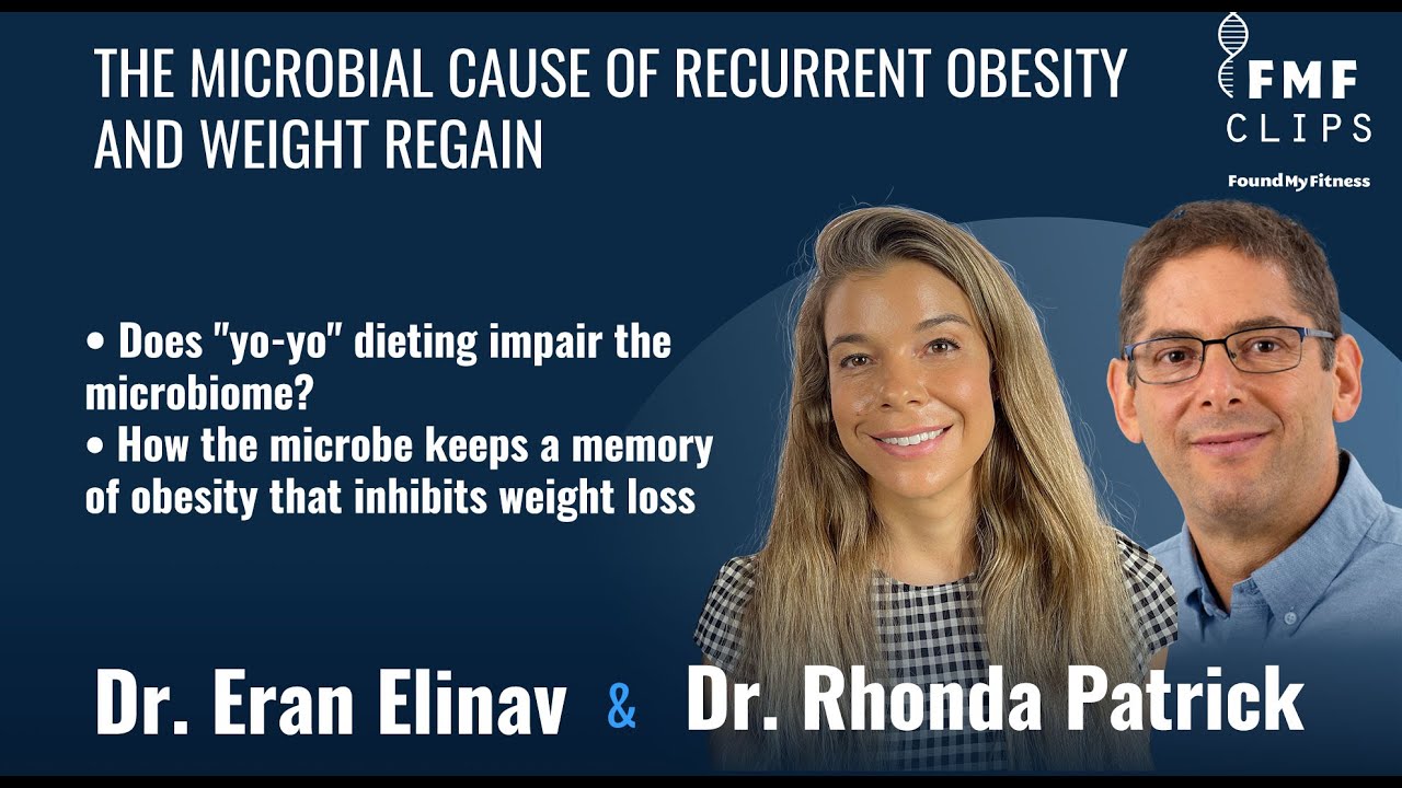 The microbial cause of recurrent obesity and weight regain | Dr. Eran Elinav