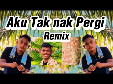 HAIRIE -  AKU TAK NAK PERGI REMIX VIRAL TIKTOK TERBARU REMIX - AGENG KEYBOARD