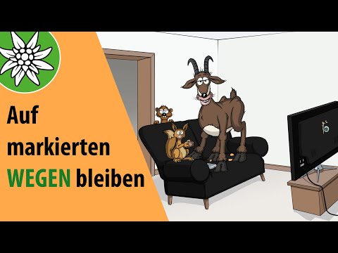 Warum soll ich auf markierten Wegen bleiben? | SicherAmBerg - Bergwandern 06