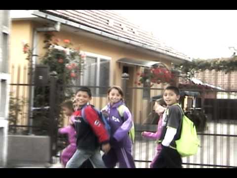 School project Petelea - Selah Elite Junior