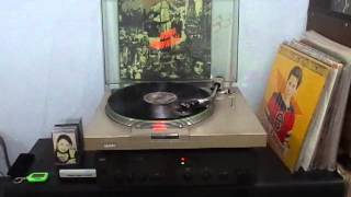 Terrorizer - Fear of Napalm (World Downfall LP Vinyl Record)