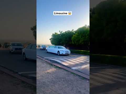 Limousine 😱❤️ #shorts #limousine #cars