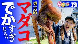 釣果情報