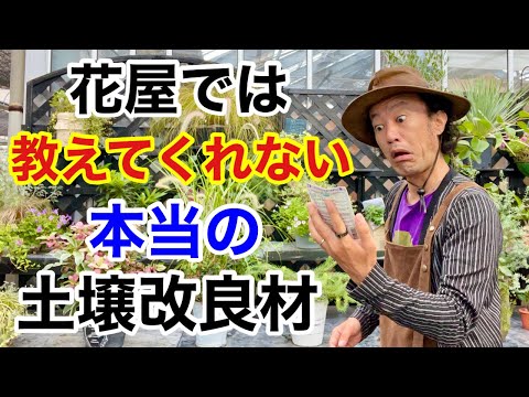 秋に蒔く緑肥は何ですか？当店TOP3をお届けします！  庭園