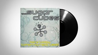 The Sugarcubes - Nail