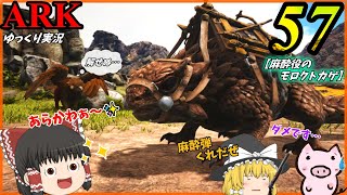 【ARK ゆっくり実況】 ブタと生きる #57  【モロクトカゲでギガノトを〇〇〇！】