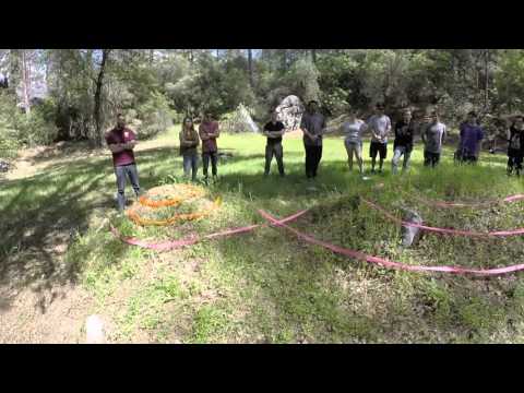 Level Curves - Example